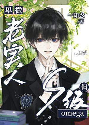 卑微老实人，但S级Omega