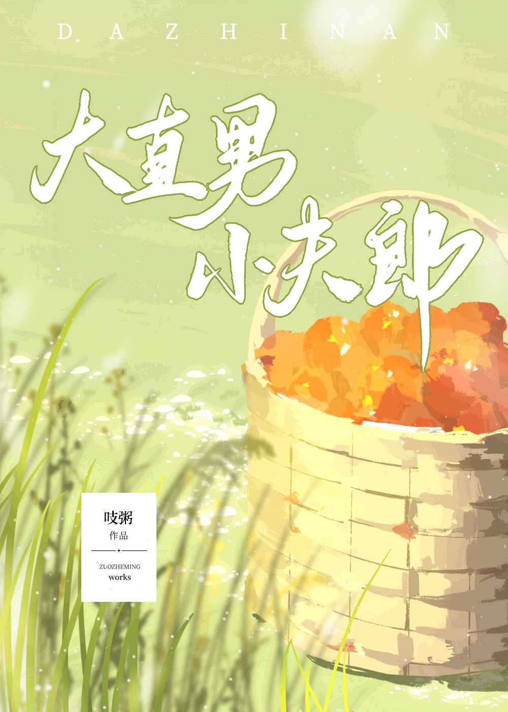 大直男小夫郎