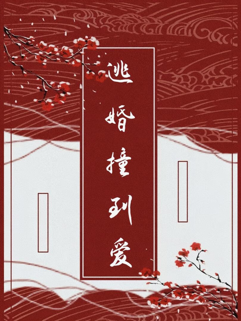 逃婚撞到爱