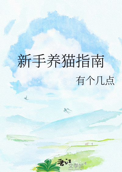 新手养猫指南