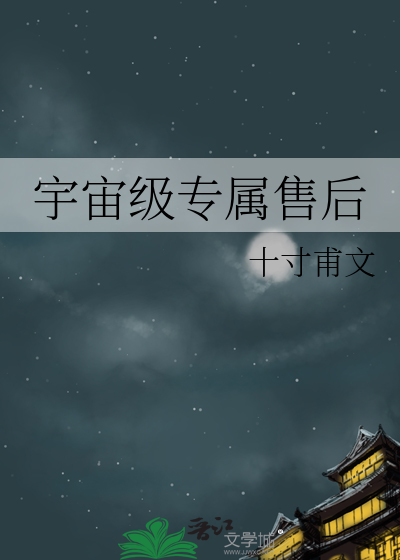 宇宙级专属售后