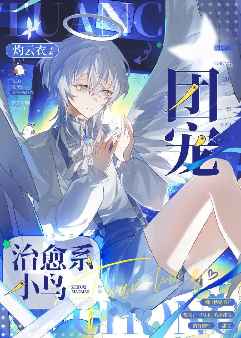 团宠治愈系小鸟