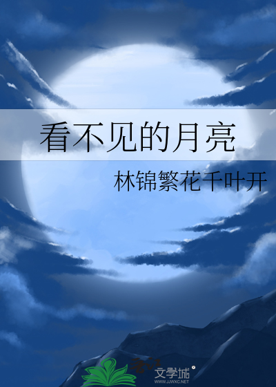 看不见的月亮
