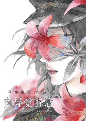 貌美向导觉醒后