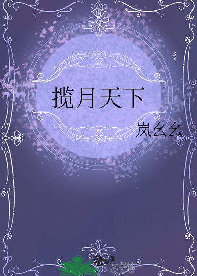 揽月天下