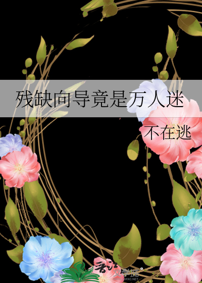 残缺向导竟是万人迷