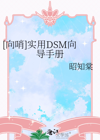 [向哨]实用DSM向导手册
