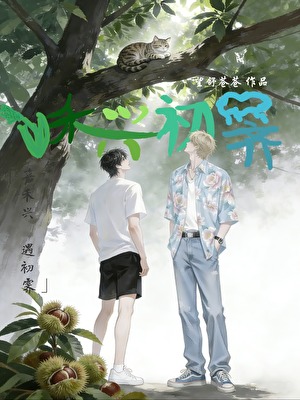 禾兴初霁