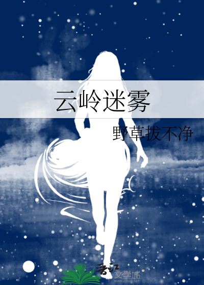 云岭迷雾