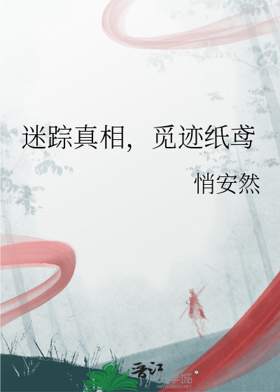 迷踪真相，觅迹纸鸢