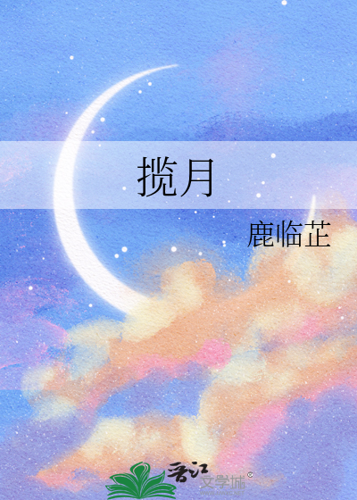 揽月