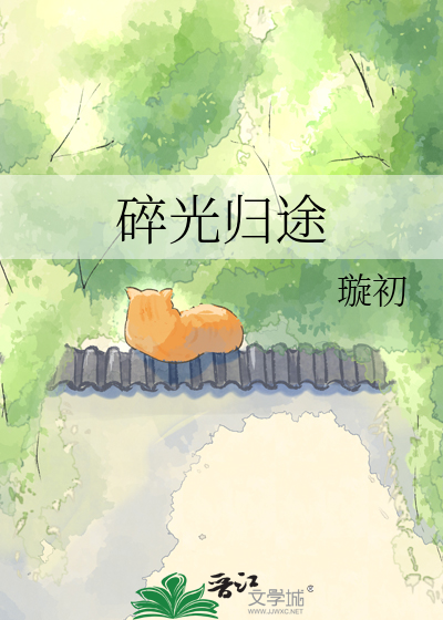 碎光归途