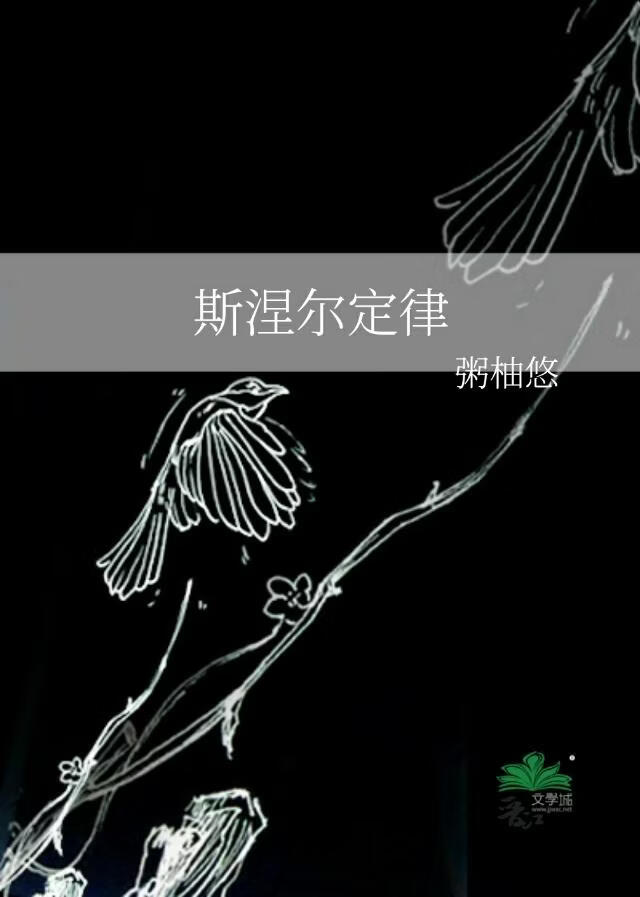 斯涅尔定律
