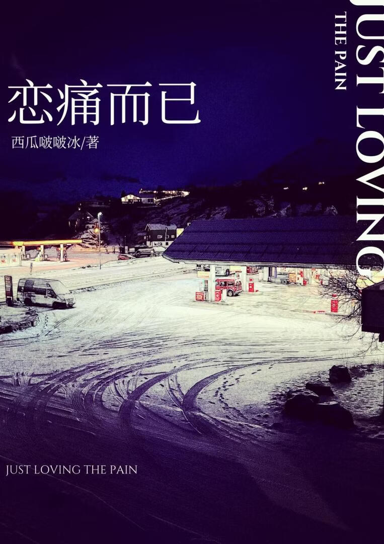 恋痛而已[破镜重圆]