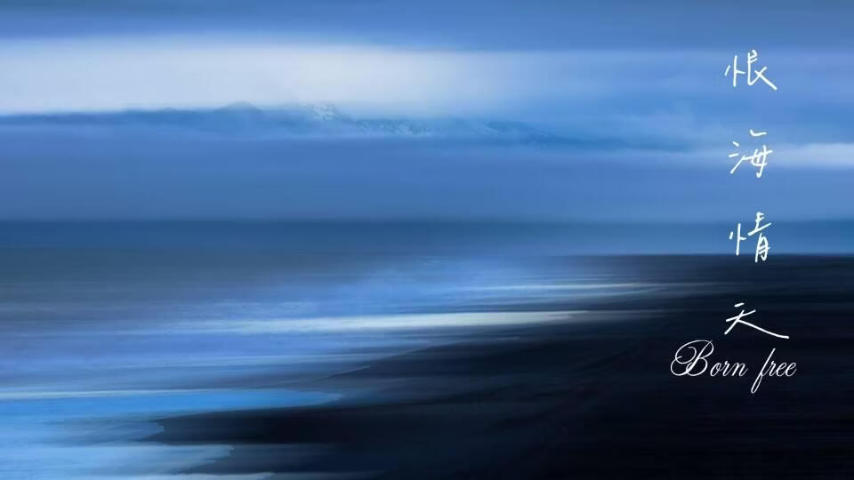 恨海情天