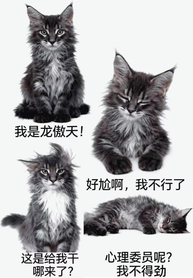 龙傲天竟是假少爷！
