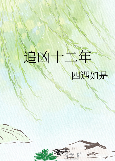 追凶十二年