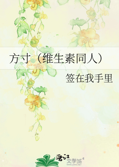 方寸（维生素同人）