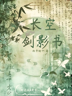 长空剑影书