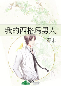 我的西格玛男人