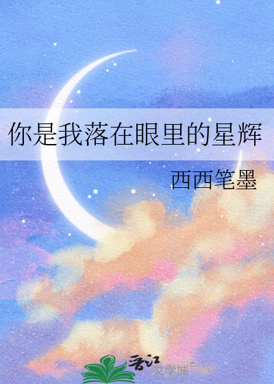 你是我落在眼里的星辉