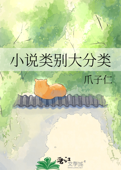 小说类别大分类