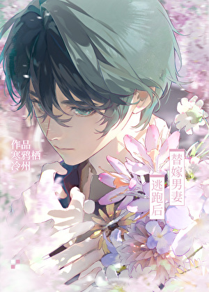 替嫁男妻逃跑后