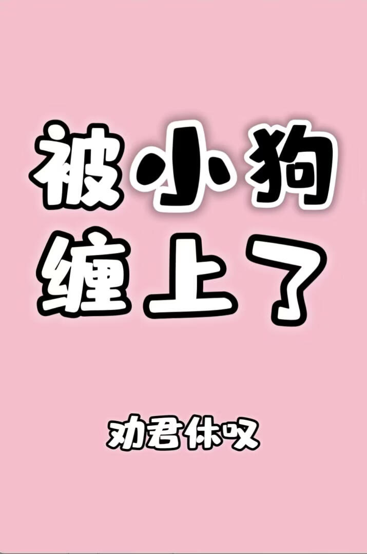 被小狗缠上了