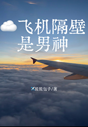 飞机隔壁是男神