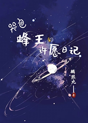 哭包蜂王的许愿日记