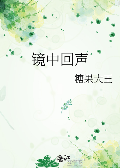 镜中回声