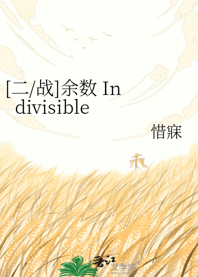 [二/战]余数 Indivisible