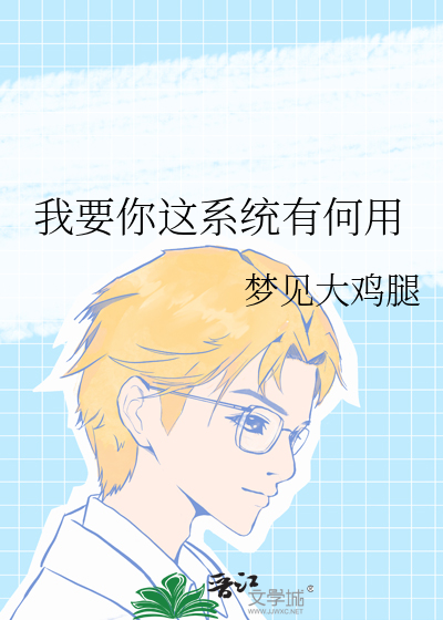 我要你这系统有何用