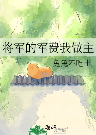 将军的军费我做主