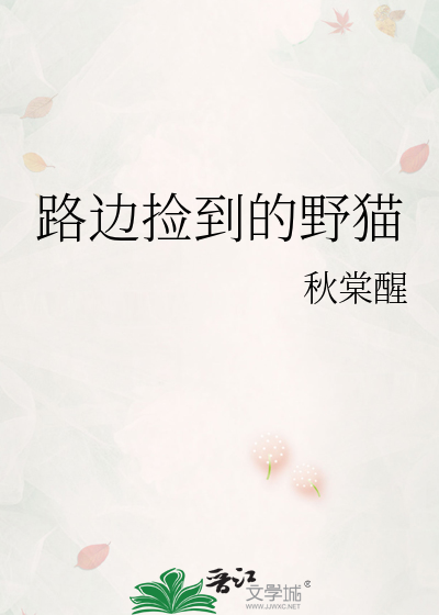 路边捡到的野猫