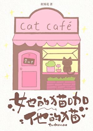 她的猫咖，他的猫[破镜重圆]
