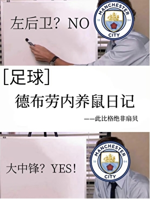 ［足球］德布劳内养鼠日记