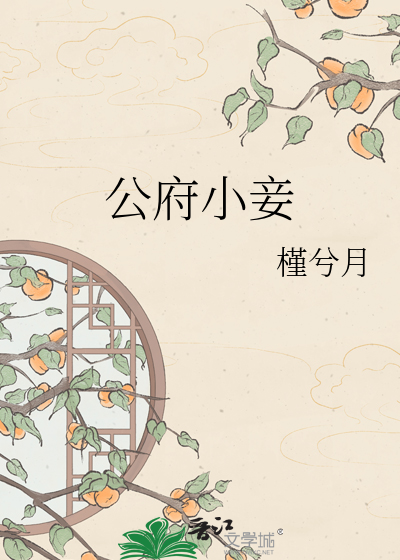 公府小妾