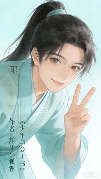 少年与公主书