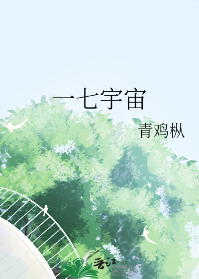 一七宇宙