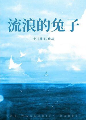 流浪的兔子