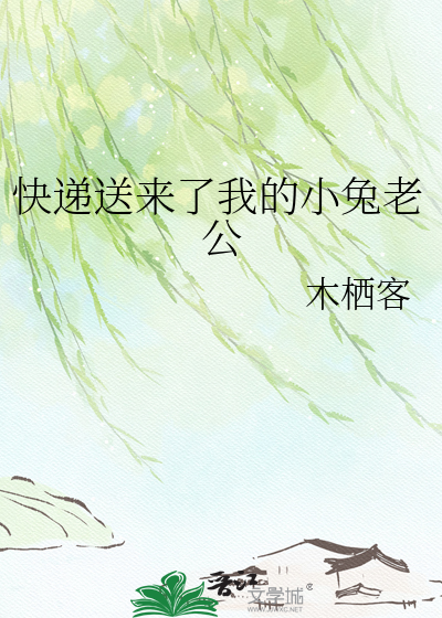快递送来了我的小兔老公