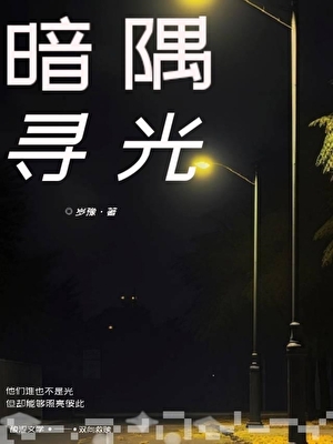 暗隅寻光