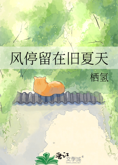 风停留在旧夏天