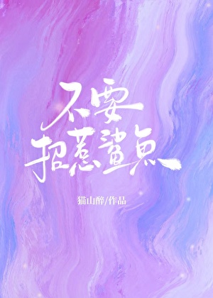 不要招惹鲨鱼[破镜重圆]