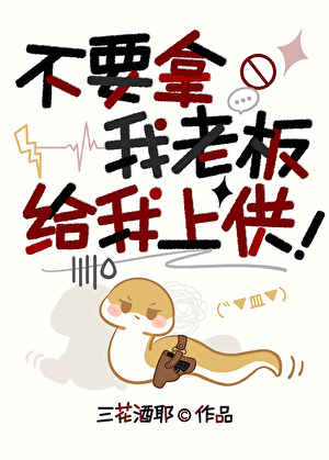 不要拿我老板给我上供！