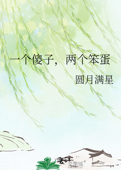 一个傻子，两个笨蛋