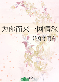 为你而来一网情深