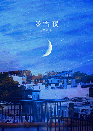 暴雪夜