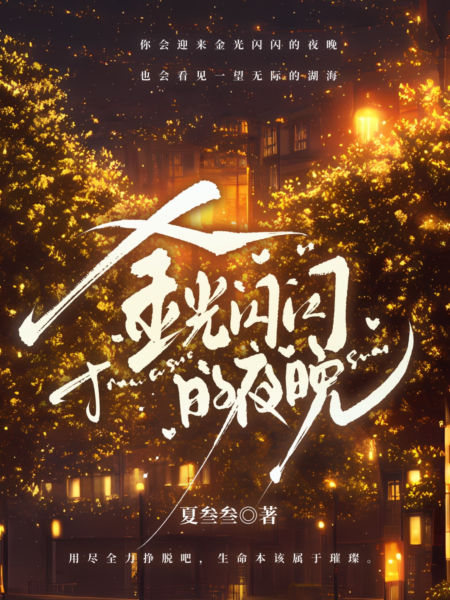 金光闪闪的夜晚